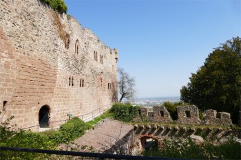 La Volerie des Aigles | Le Château de Kintzheim P1240097